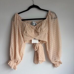 Sheer Polka Dot Cropped Top